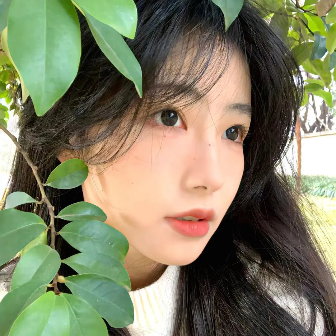 樱花别恋